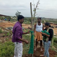 Massive Tree Planting initiative undertaken by TPSOH Chairman  Thomas John & Team to bring back the salubrious climate Hosur had in the past